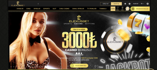 Elexusbet Casino